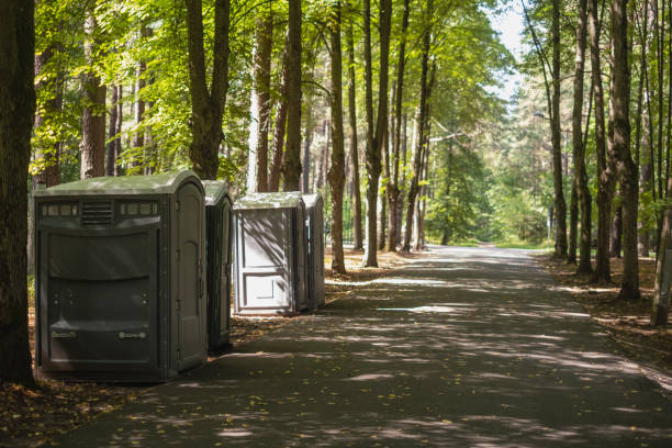 Trusted Pinetop Lakeside, AZ porta potty rental Experts